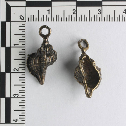 Charm - Shell