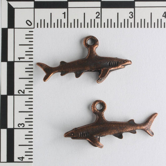 Charm - Shark