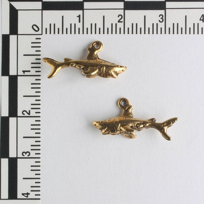 Charm - Shark