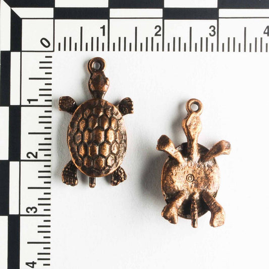 Charm - Turtle