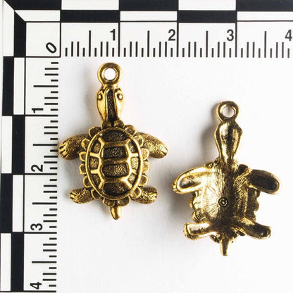 Charm - Turtle