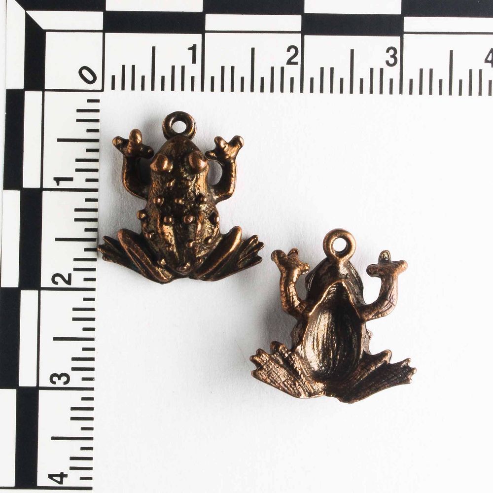 Charm - Frog