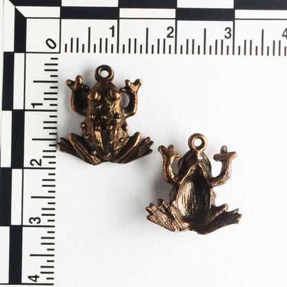 Charm - Frog