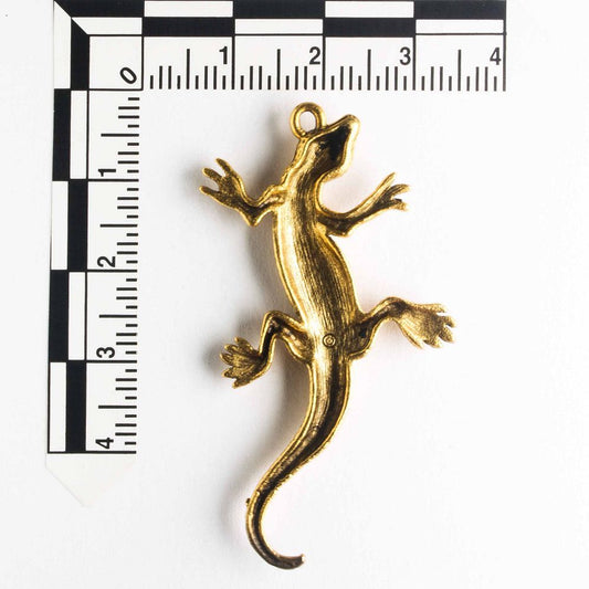 Charm - Lizard