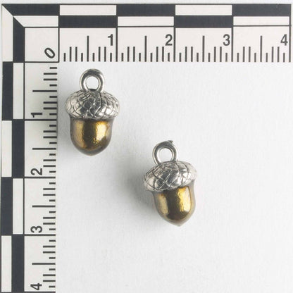Charm - Acorn