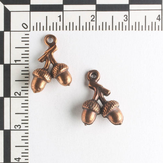 Charm - Acorn