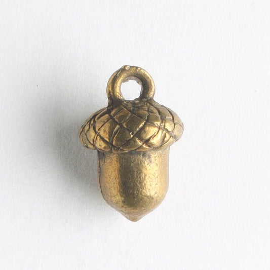 Charm - Acorn