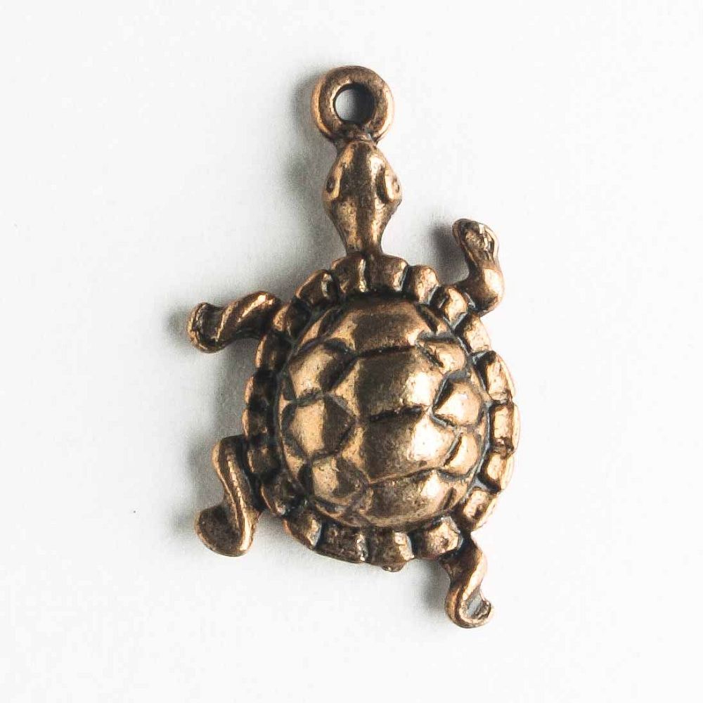 Charm - Turtle