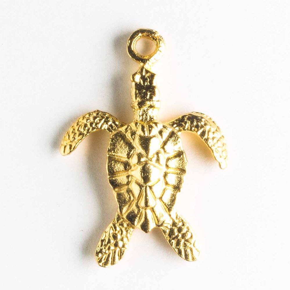 Charm - Turtle