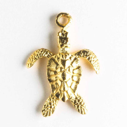 Charm - Turtle