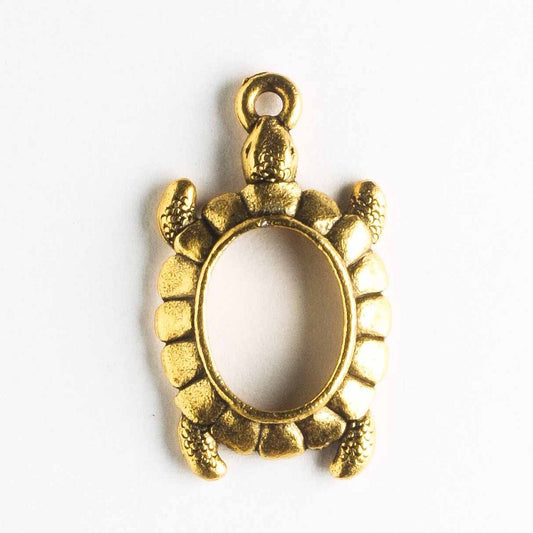 Charm - Turtle
