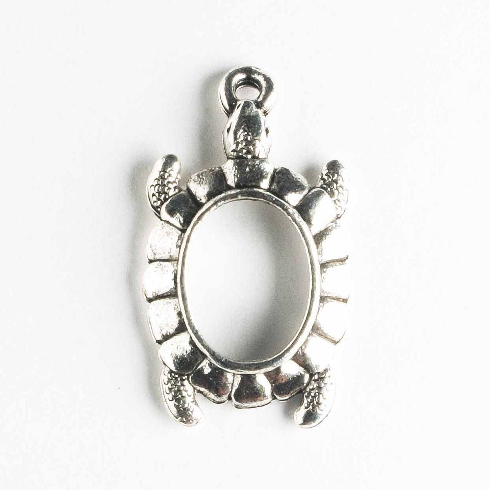 Charm - Turtle