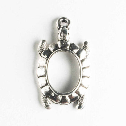 Charm - Turtle
