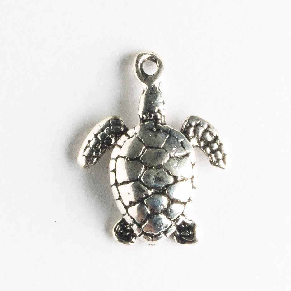 Charm - Turtle