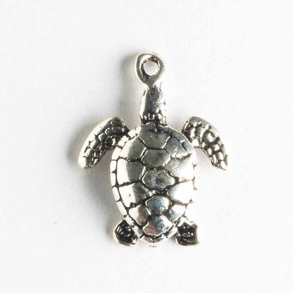 Charm - Turtle