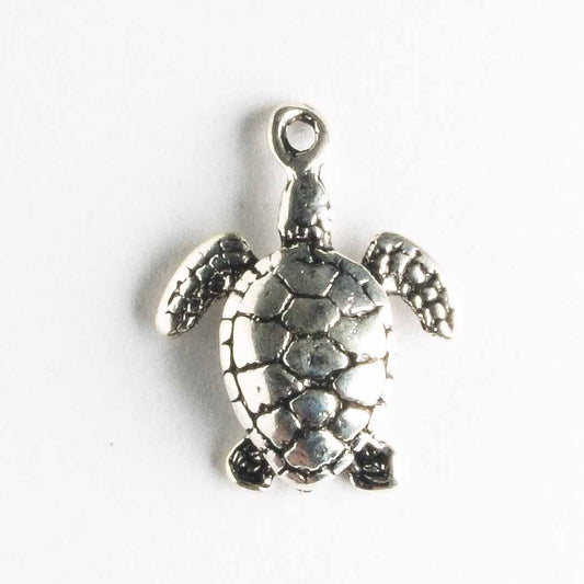 Charm - Turtle