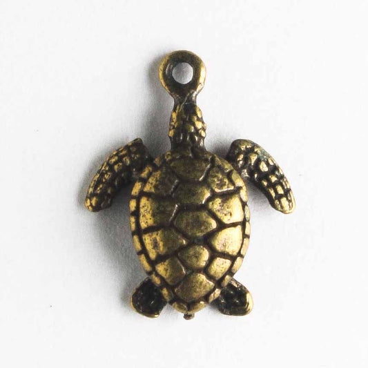 Charm - Turtle
