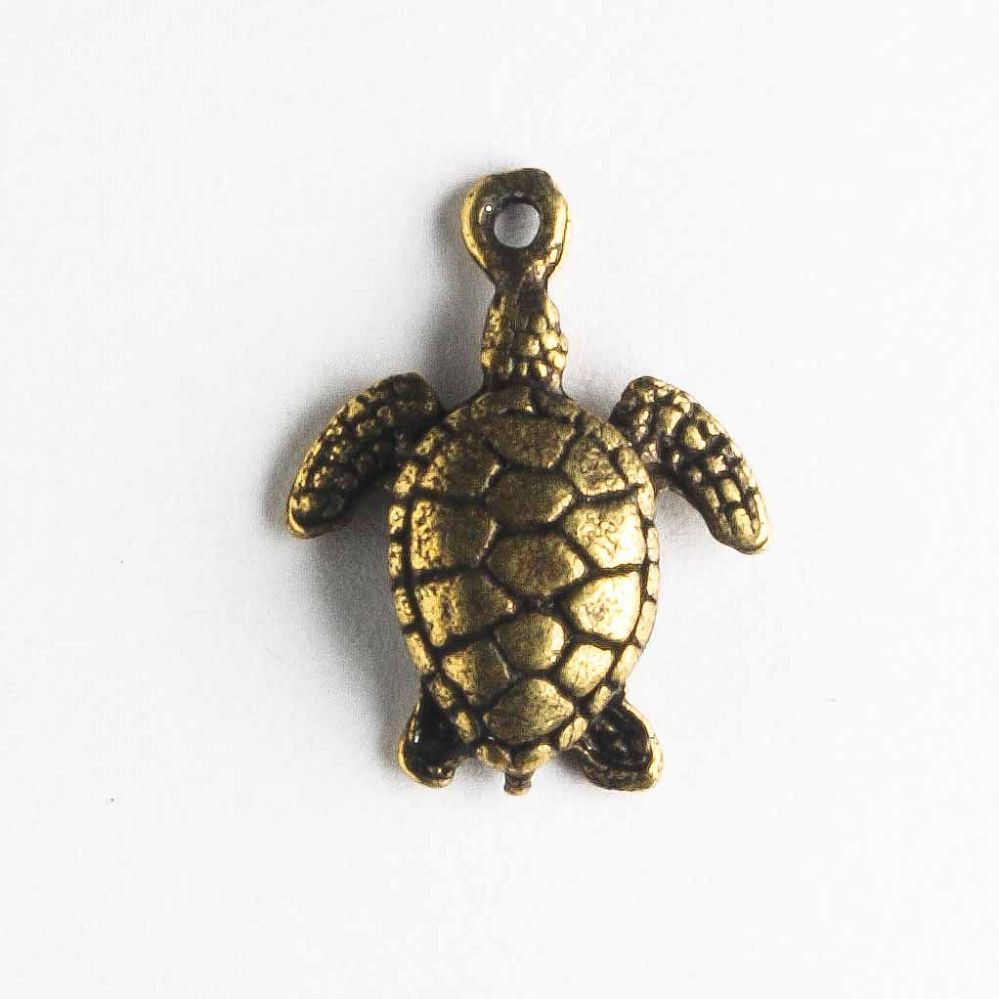 Charm - Turtle