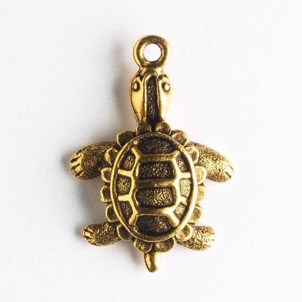 Charm - Turtle