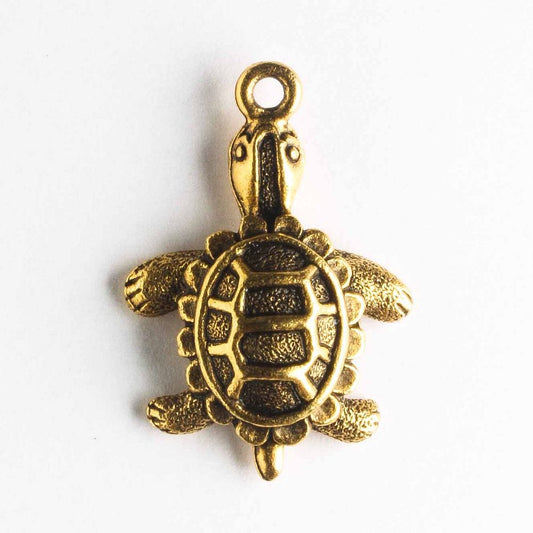 Charm - Turtle