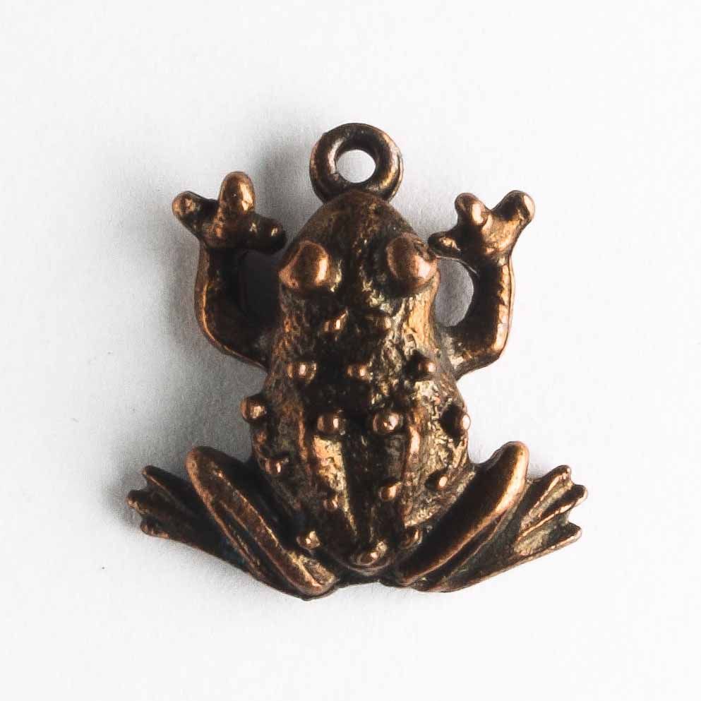 Charm - Frog
