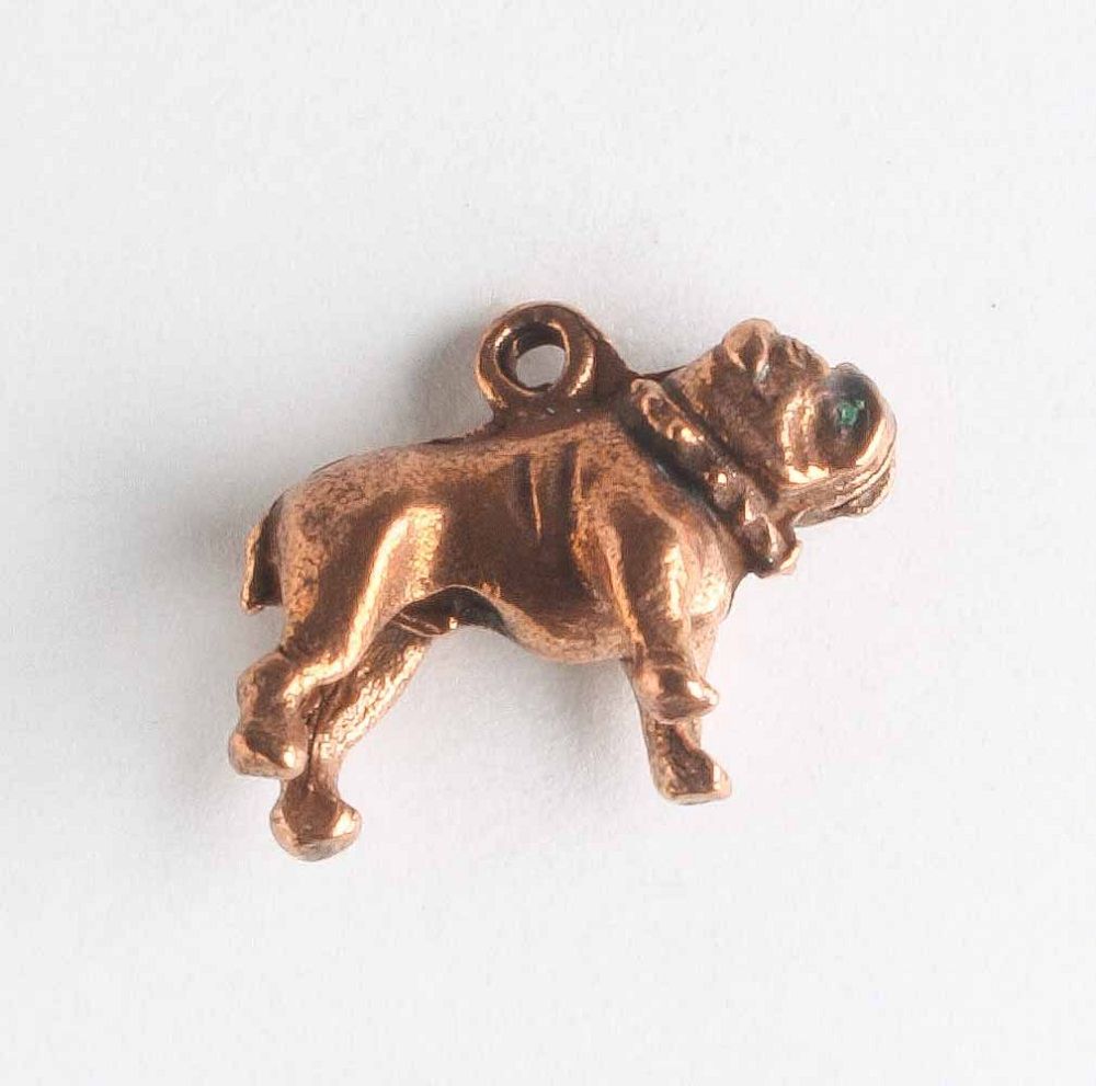 Charm - Dog