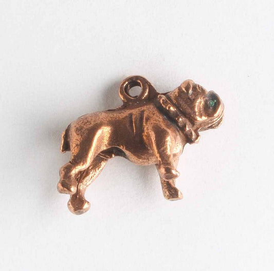 Charm - Dog