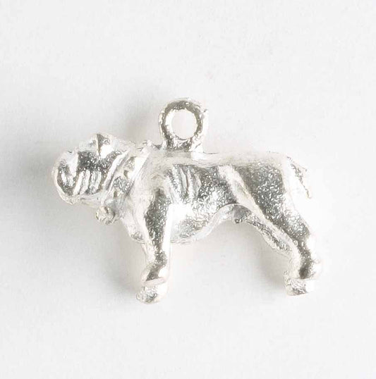 Charm - Dog
