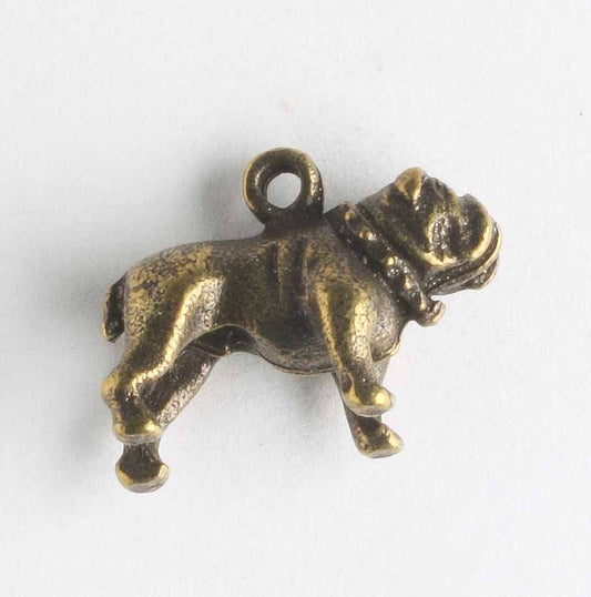 Charm - Dog