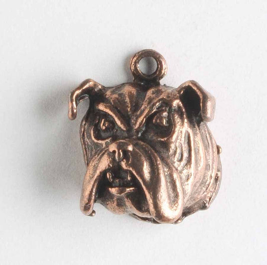 Charm - Dog
