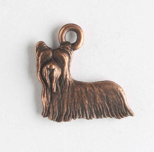 Charm - Dog
