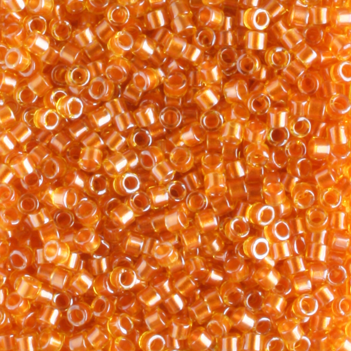 DB1702 Copper Lined Marigold