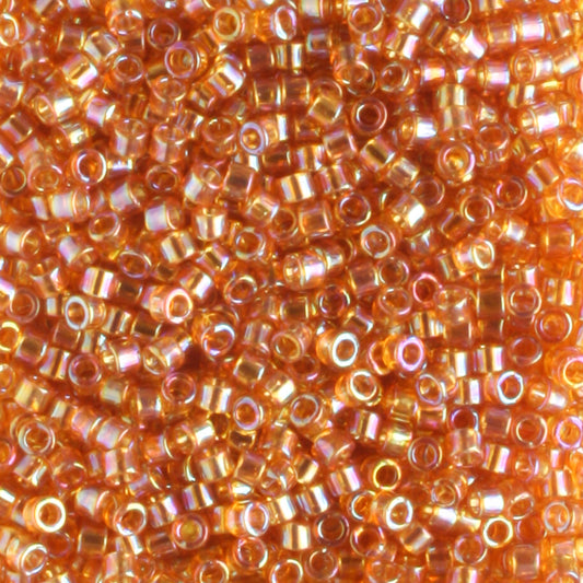 DB1241 Transparent Rainbow Marigold