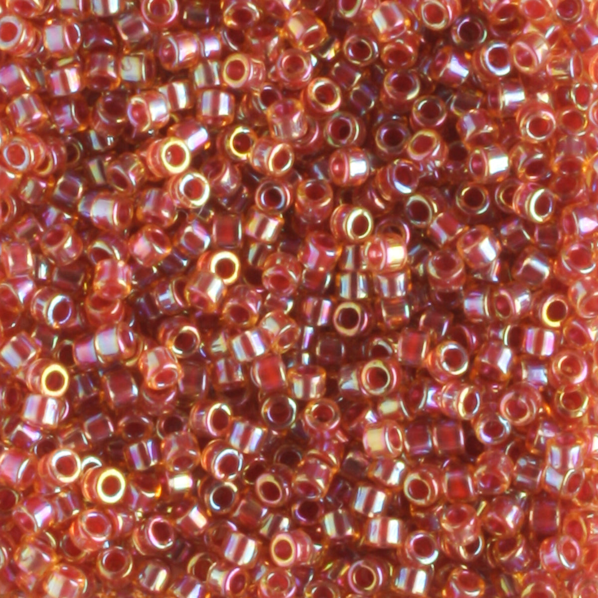 DB0088 Rose Lined Candlelight