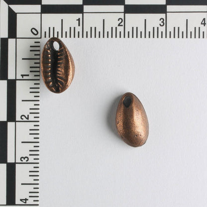 Charm - Cowrie Shell