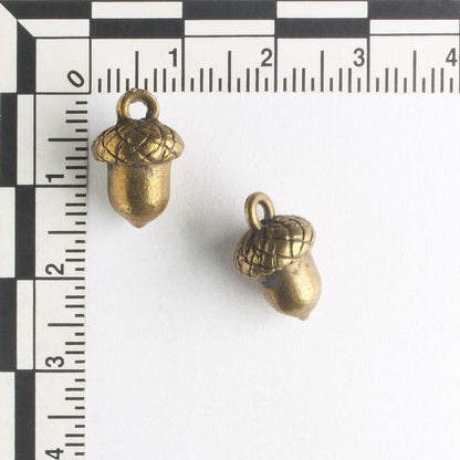 Charm - Acorn