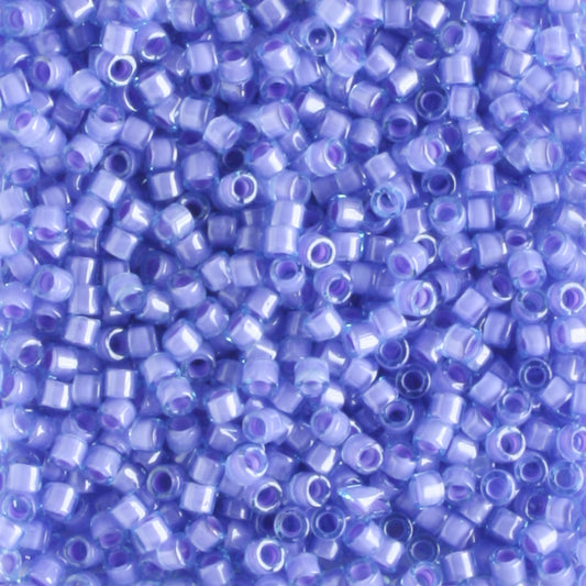 DB2388 Lily of the Nile